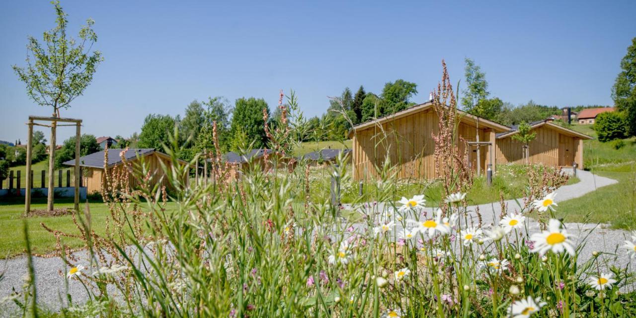 Naturhotel Euler Hotel Neuschönau